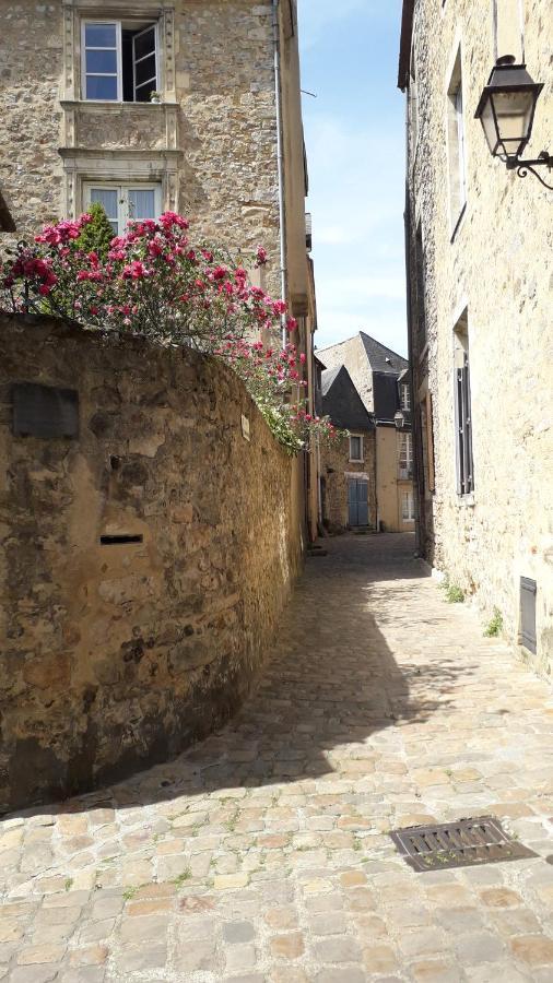 Petite Maison Romantique Au Calme, Coeur Historique Plantagenet, Vue Ville Le Mans Exterior photo